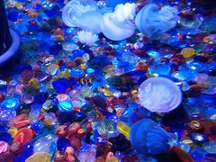 -成都浩海立方海洋公园