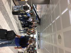 -米兰马尔彭萨国际机场