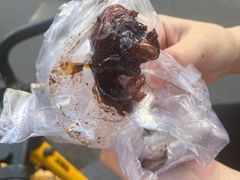 -福鼎褚翅