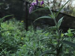 -金海湾滨江公园