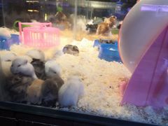 -鸿通城购物中心