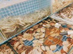 -港畔赶海蒸汽海鲜烧烤自助(仙螺岛店)