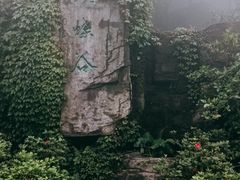 -梧桐山风景名胜区