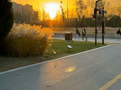 -汉长安城未央宫国家考古遗址公园