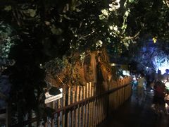 -暹罗海洋世界
