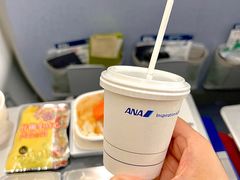 -全日本空输株式会社(上海办事处)