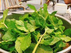 -鸽鸟轩(石岐店)