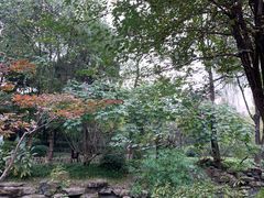 -三大炮豆花铺(锦里店)