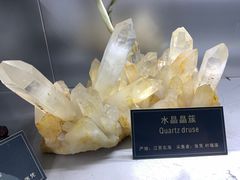 -中国地质大学逸夫博物馆