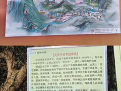-灵光寺