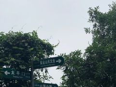 -紫金山天文台