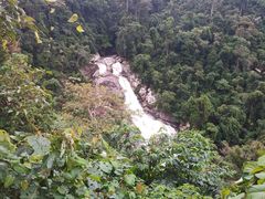 -海南热带雨林国家公园吊罗山景区