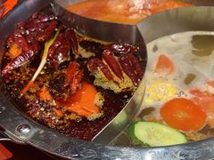-大龙燚·旷野鲜火锅(广州首店)