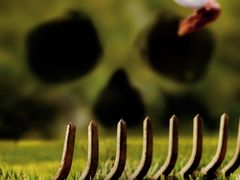 -幸福蓝海国际影城(河西店)