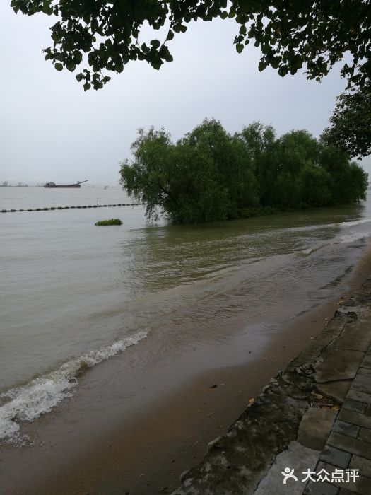 滨海公园图片