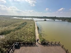 -盐城丹顶鹤湿地生态旅游区