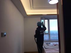-全屋清新除甲醛 上海