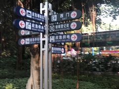 -东风公园
