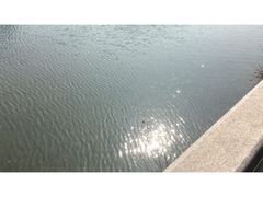 -咸宁万豪温泉谷度假区