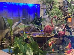 -河坝烧烤串城(金达莱店)
