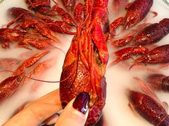 -红盔甲·小龙虾(天钥桥店)