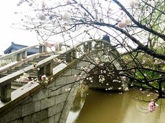 -南汇桃花村