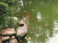-南北湖湖光山居度假酒店