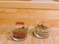 -柴务处·柴犬主题狗咖