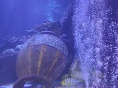 -太平洋海底世界