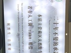 -名善山珍·野生菌汤锅(文殊院店)
