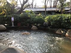 -西安国际创新人才交流中心•药浴温泉