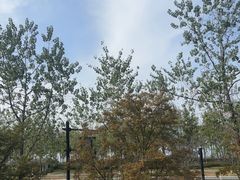 -宝荣鱼馆·临湖之宴(千岛湖店)