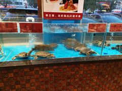 水产区-张氏鱼庄