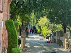 -春风习习