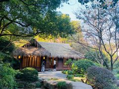 -中国茶叶博物馆(双峰馆区)
