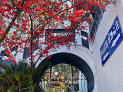 -桃源山庄·水蜜桃采摘·柴火鸡·烧烤团建(龙泉山店)