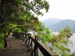-广州市流溪河国家森林公园