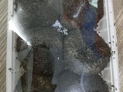 -南大门韩国米糕(公滨路店)