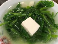豆尖豆腐汤-喜林苑·稻田餐厅(品相府店)
