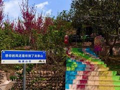 -桃源山庄·摘樱桃·柴火鸡·烧烤团建(龙泉山店)