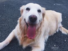 -清风小镇闯关东影视基地
