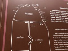 -大岭沟猕猴桃谷风景区