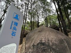 -火炉山森林公园