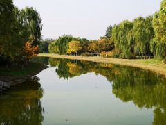 -大兴滨河森林公园