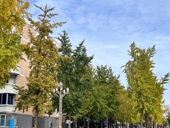 -四川大学(望江校区)