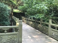 -普陀山风景区-佛顶山