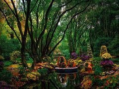 -上海共青森林公园