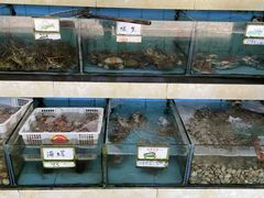 水产区-秋姐美食店(旅游大道店)