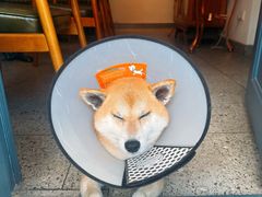 -GOIN CAFE 光阴咖啡馆