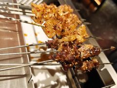 -鼎原力量东北吊炉烧烤(临河街店)